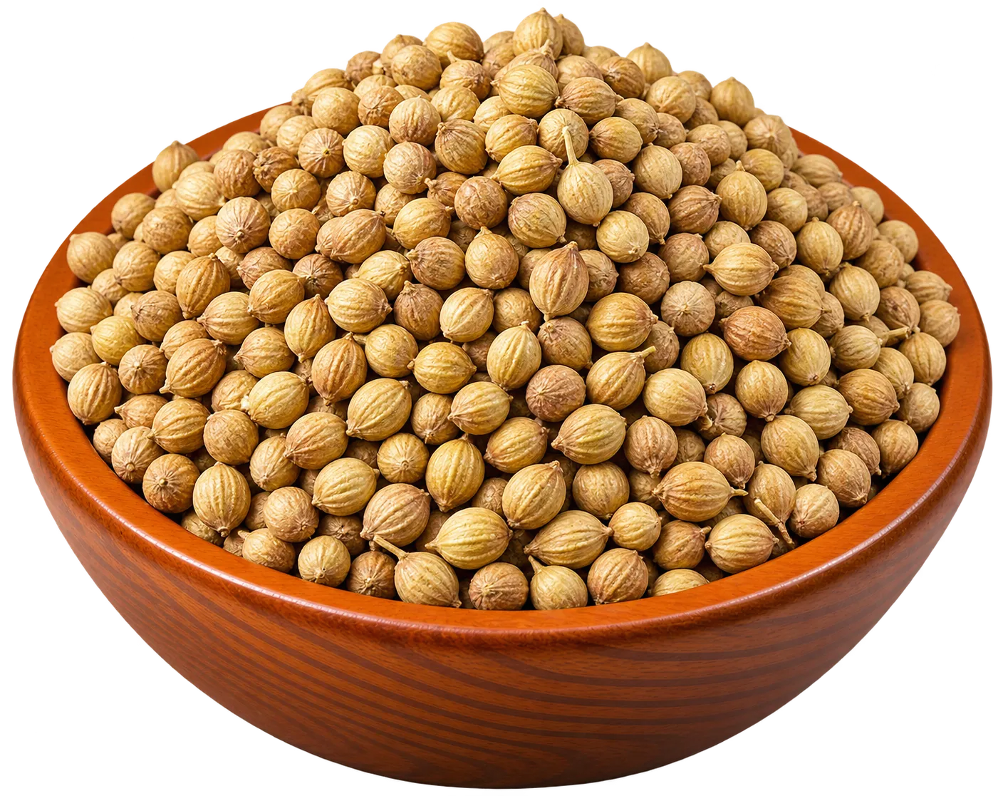 Coriander Seeds